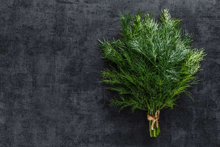 Fresh green rosemary, parsley and dill on the table. Top view.indispensable source of vitamins A, C, K, B1, B2, PP, E, Cの写真素材