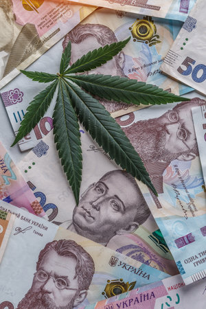 Ukrainian money - hryvnia banknotes USA dollars bills.Legality of cannabis, legal and illegal cannabis on the world. World economic crisis associated with coronovirus.の写真素材