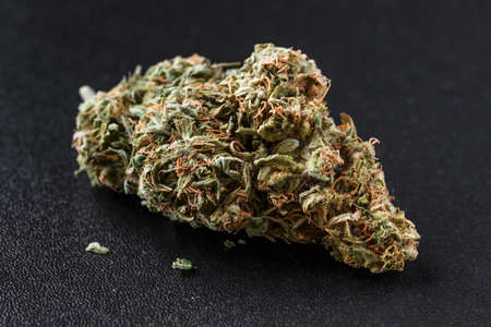 Medical marijuana flower buds. Recreational marijuana strain. Cannabis strain. Dispensary menu. Hemp buds.isolated on black - medical marijuana conceptの写真素材