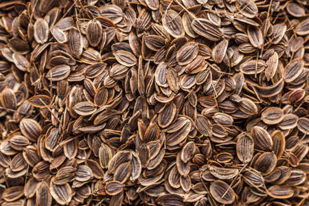 Pile of dill seeds. A mixture of different spices close up. Textures of colorful spices and...