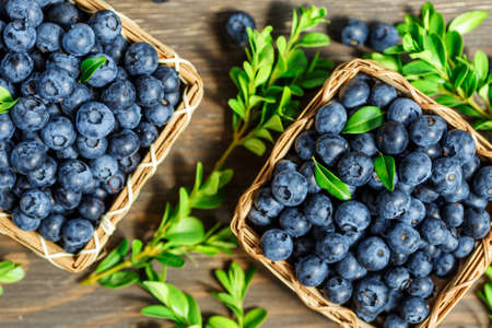 Fresh blueberries background with copy space for your text. Blueberry antioxidant organic superfood in a bowl concept for healthy eating and nutritionの写真素材