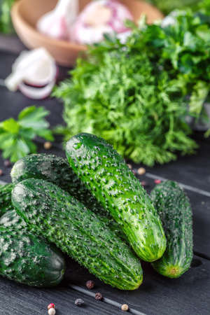 Cucumber on dark wood texture background. Cucumbers harvest in summer. Cucumbers for salads or canning. Summer vegetables. Organic agriculture in village.の写真素材