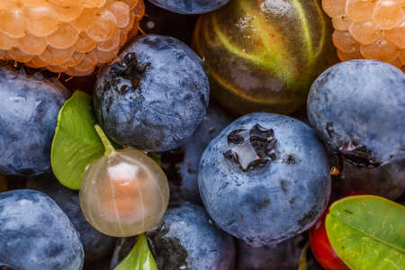 Water drops on ripe sweet blueberry. Vegan and vegetarian concept. Macro texture of blueberry berries.Cranberry in water.Juicy bright cherry and sweet cherry in water,の写真素材
