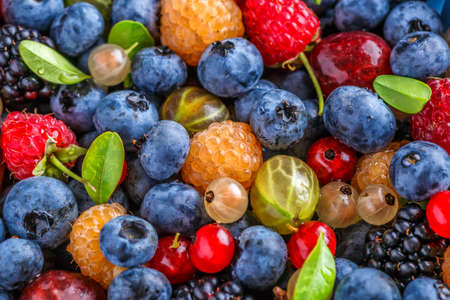 Water drops on ripe sweet blueberry. Vegan and vegetarian concept. Macro texture of blueberry berries.Cranberry in water.Juicy bright cherry and sweet cherry in water,の写真素材