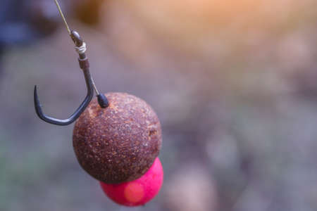 Carp fishing chod rig The Source Boilies with fishing hook. Fishing rig for carps, Carp boilies,...