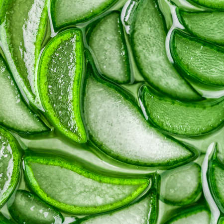 Aloe Vera closeup aloe vera slice top view texture background. Aloevera plant, natural organic renewal cosmetics, alternative medicine. Aloe leaf slices with dropsの写真素材
