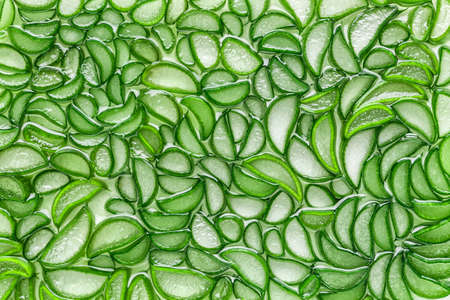 Aloe Vera closeup aloe vera slice top view texture background. Aloevera plant, natural organic renewal cosmetics, alternative medicine. Aloe leaf slices with dropsの写真素材