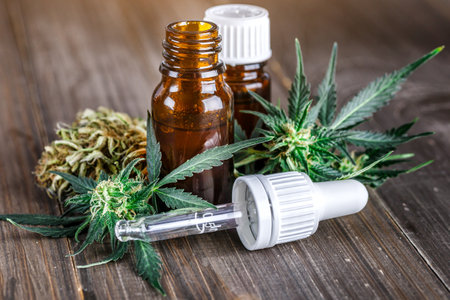 Green leaves of medicinal cannabis with extract oil.Medical marijuana flower buds. Hemp buds - medical marijuana conceptの写真素材
