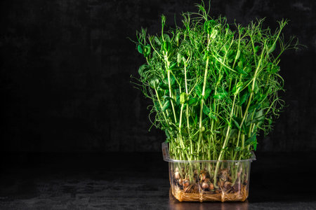 The microgreens in plastic trays.Different microgreens on black slate table, flat lay. Sprouting...