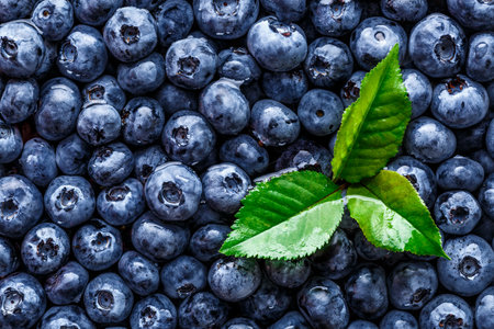 Water drops on ripe sweet blueberry. Fresh blueberries background with copy space for your text. Vegan and vegetarian concept. Macro texture of blueberry berries.Texture blueberry berries close upの写真素材
