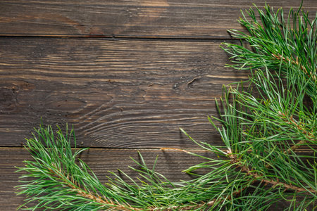 Pine cone and green branch on wooden table with snow, copy space for text.Pine cones on wooden background.の写真素材