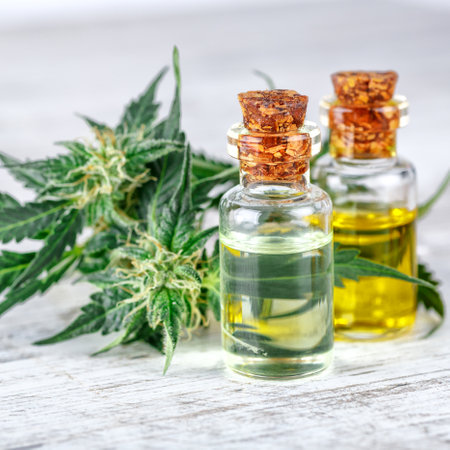 Green leaves of medicinal cannabis with extract oil.Medical marijuana flower buds. Hemp buds - medical marijuana conceptの写真素材