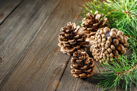 Pine cone and green branch on wooden table with snow, copy space for text.Pine cones on wooden background.の写真素材