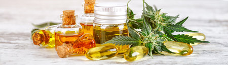Green leaves of medicinal cannabis with extract oil.Medical marijuana flower buds. Hemp buds - medical marijuana conceptの写真素材