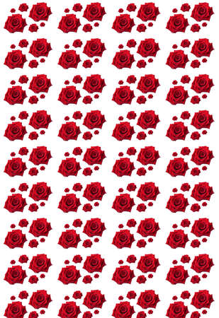On a white background, a pattern of red roses large and small.の写真素材