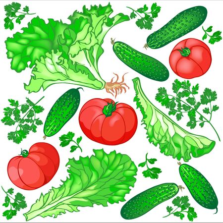 Seamless pattern of fresh vegetables for the salad of cucumbers, tomatoes, lettuce and parsley on a white background.のイラスト素材
