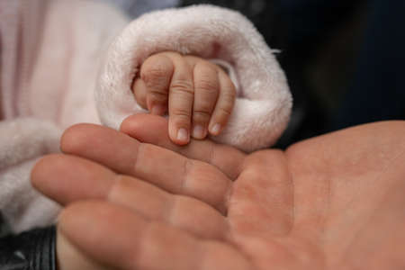The hand of a child in the palm of his father. Concept: palms, family, love