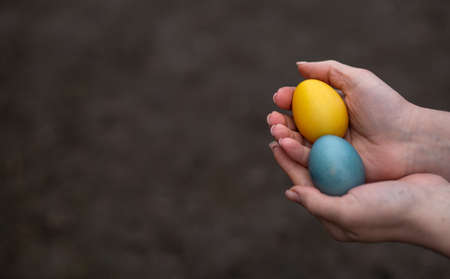 2 Painted eggs for Easter in the colors of the flag of Ukraine in the hands, which symbolizes PEACE IN UKRAINE. Yellow and blue (cyan). On wood texture. Concept: food, holiday, war in Ukraineの写真素材
