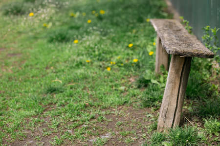 An old wooden bench staggered against the backdrop of green grass and dandelionsの写真素材