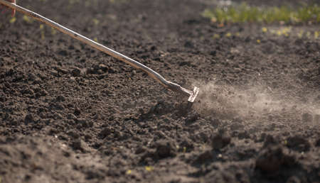 A rural workaholic rakes the ground in his gardenの写真素材