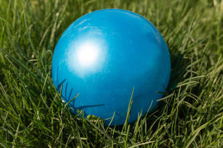 blue ball in green grass