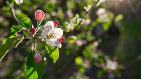 Steampunk girl Deep neckline hat round glasses and a gun on her fingerの写真素材