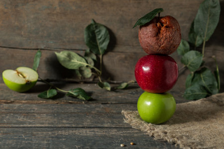 Green, red and rotten apples on burlap on wooden boards.の写真素材