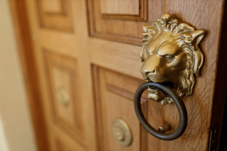 Metal Ring Door Handle on Old Wooden Door