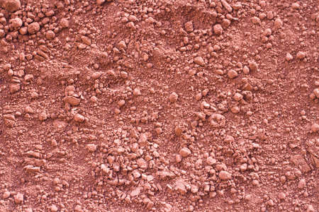 Ttexture of close up spices