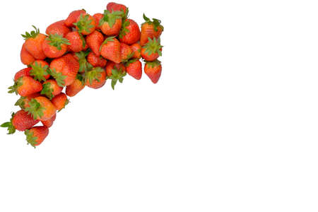 strawberry  isolatedの写真素材