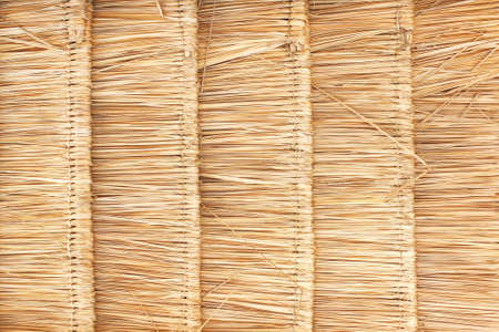 palm leaf roofの写真素材