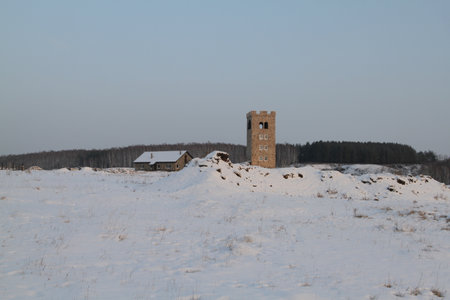 Lonely tower against the background of winter forest in snowのeditorial素材