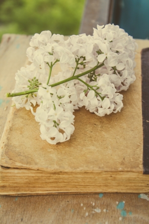 the lilac lies on the old vintage bookの写真素材
