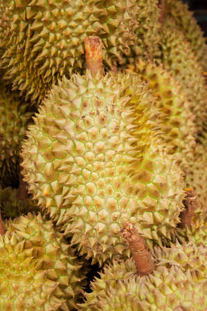 Fresh durian at Thai fruitの写真素材
