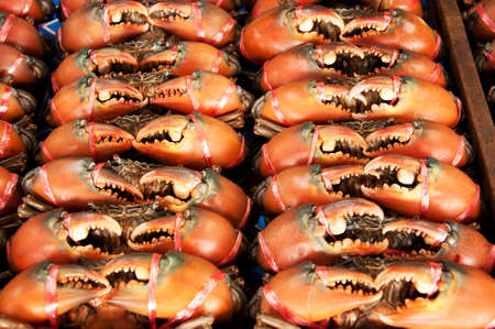 Seafood market: bunch of crabs displayed for saleの写真素材