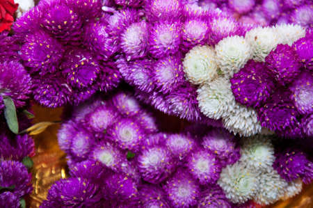 Malai The flower in Thai Tradition Style の写真素材