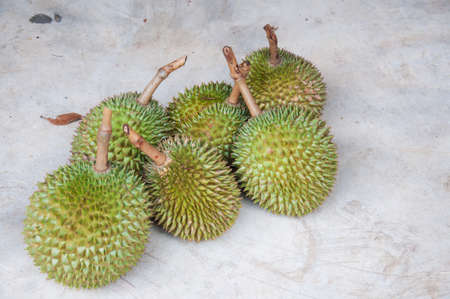 durian, tropical fruit の写真素材