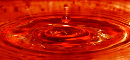 Water dropの写真素材