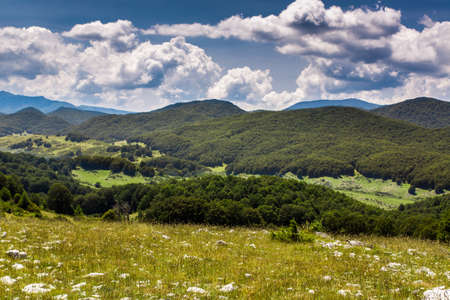 Summer mountain landscapeの写真素材