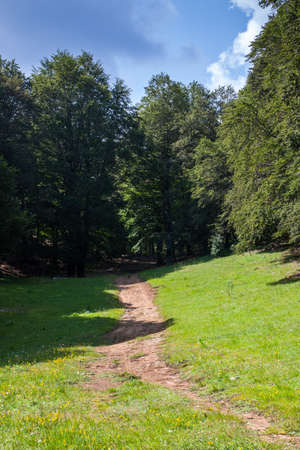 Summer mountain landscapeの写真素材