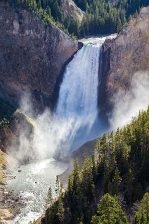 Lower Falls on the Grand Canyon of the Yellowstone, Yellowstone National Park, USAの写真素材