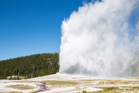 Old Faithful geyser eruption into Yellowstone National Park, USAの写真素材