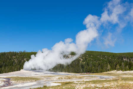 Old Faithful geyser eruption into Yellowstone National Park, USAの写真素材