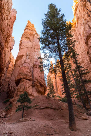 Bryce Canyon National Park, Utah, USAの写真素材