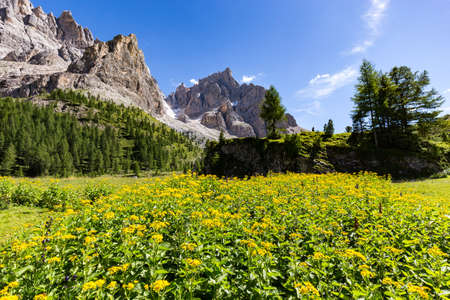 View of Pale di San Martino, Italian Dolomites in Trentinoの写真素材