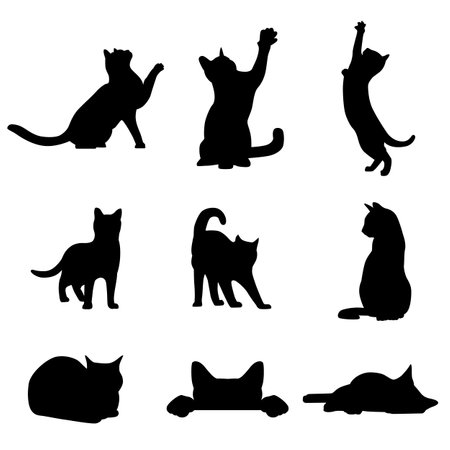 Collection of cat silhouettes in various poses isolated on white backgroundのイラスト素材