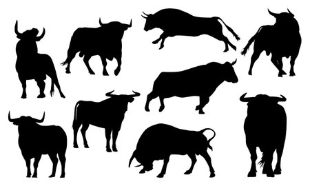 Collection of bull silhouettes in various poses isolated on white backgroundのイラスト素材