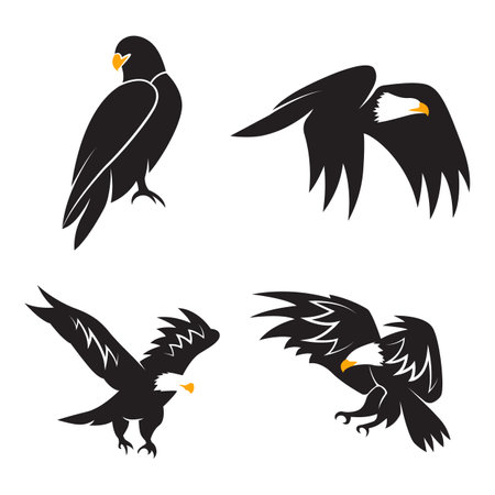 Collection of eagle silhouettes. Vector illustrationのイラスト素材