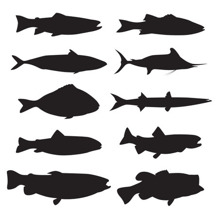 Collection of fish silhouettes various typesのイラスト素材