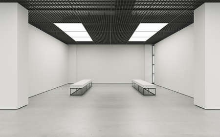 Modern empty minimalistic interior of exhibition with clean walls. Loft design, Art gallery or museum. 3d renderingの写真素材